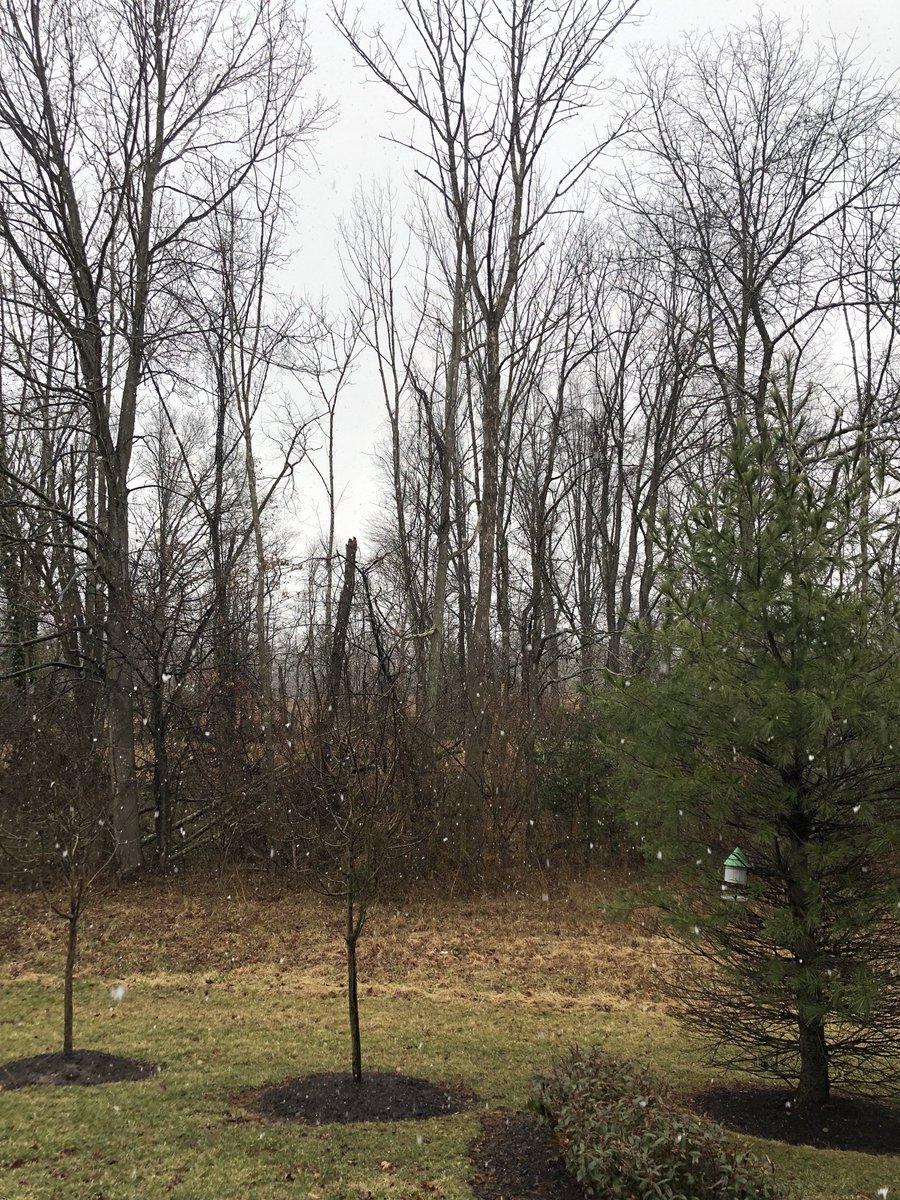 BackCampusGreen's tweet photo. Laapii wiineew, it’s snowing again! #Munsee #Lunaape https://t.co/OzoXOn6fS9