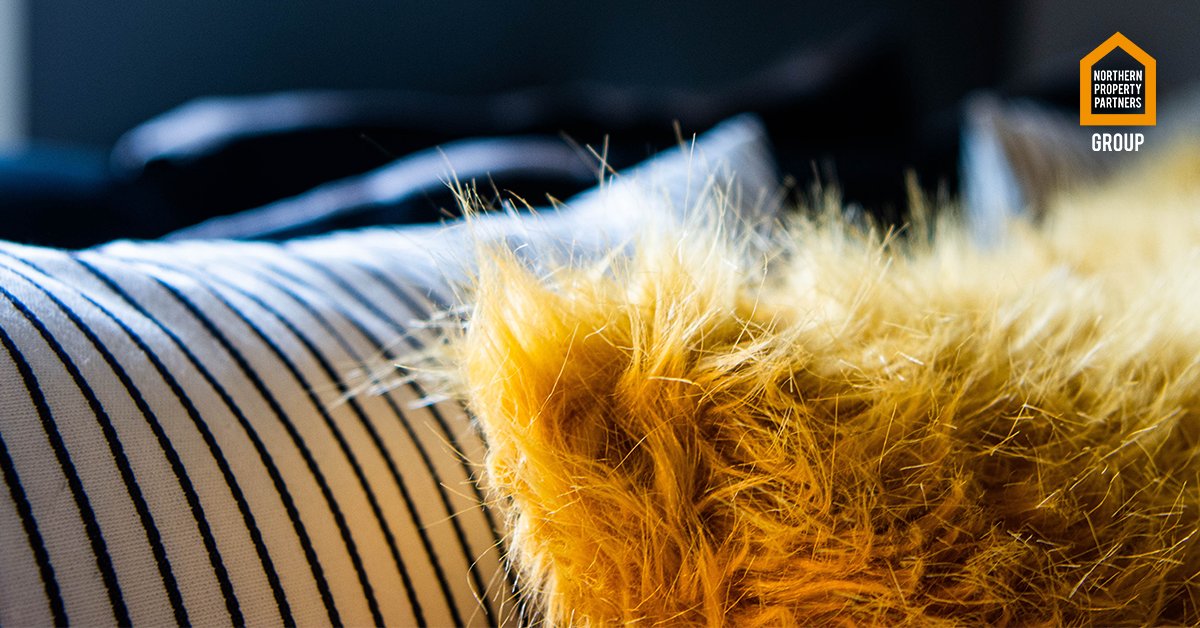 A nap never seemed so tempting 😴 

With the help of our Changing Spaces Interior Design team we finish our properties to the highest standard ensuring they are rented out quickly

#investmentproperty  #design #bedroom