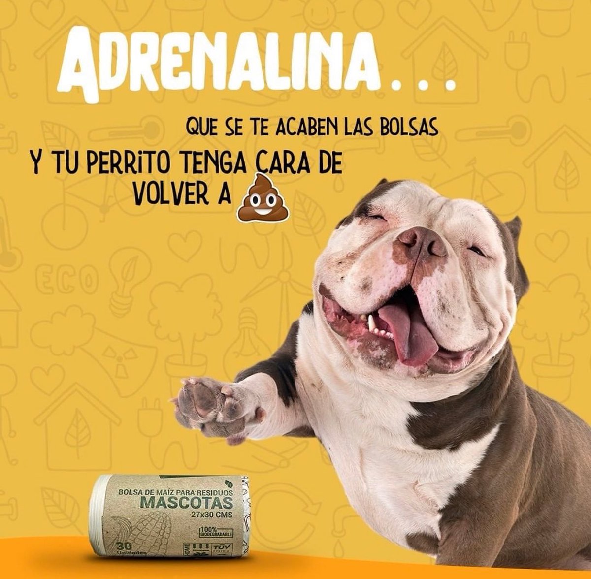 Adquiere 120 BOLSAS COMPOSTABLES por solo 35k e ilumina 21 tripulantes de la fundación <a href="/ArcaLuminosa/">ArcaLuminosa</a> ✨🥰💚
