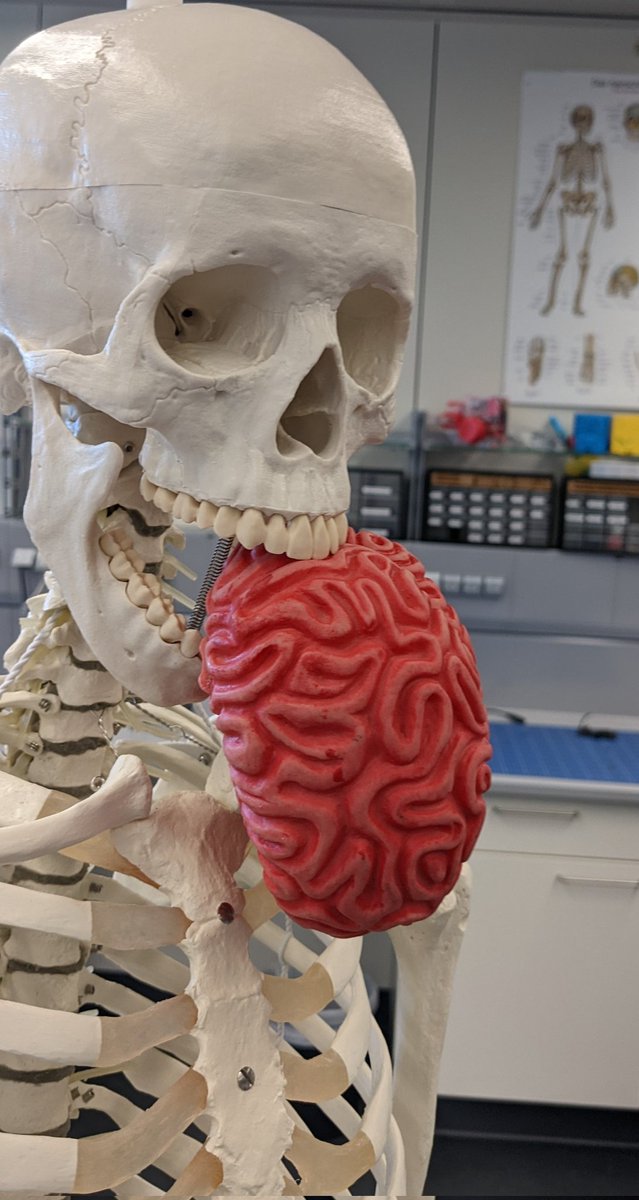 professa_pott's tweet photo. Allen Studierenden der @Uni_Stuttgart da draußen wünscht Toni weiterhin viel Erfolg bei den Prüfungen! Greetings @IFSmedtech! https://t.co/xXpvFvweXR