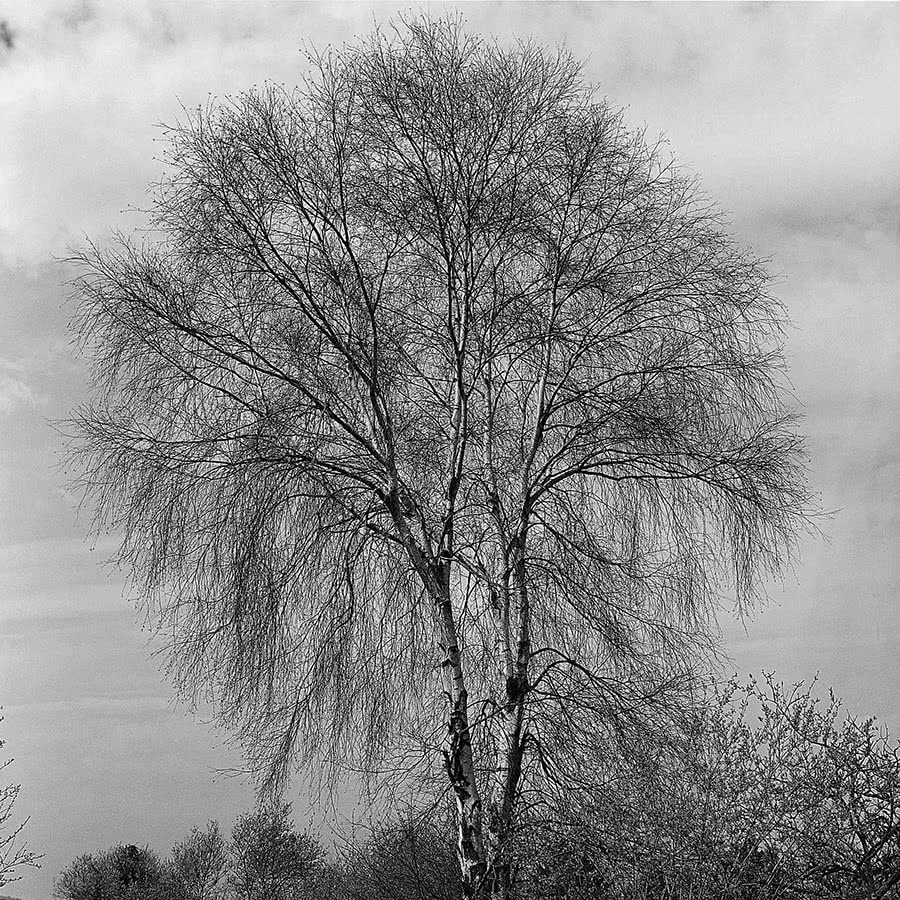 Estimados railowskianos y railowskianas  :
Este jueves 10 de marzo a las 19:30 horas inauguramos en Railowsky una nueva exposición :
“Mi Paisaje” Fotografías de José R. Cuervo – Arango
Contaremos con la presencia del autor que nos hablará de su obra…