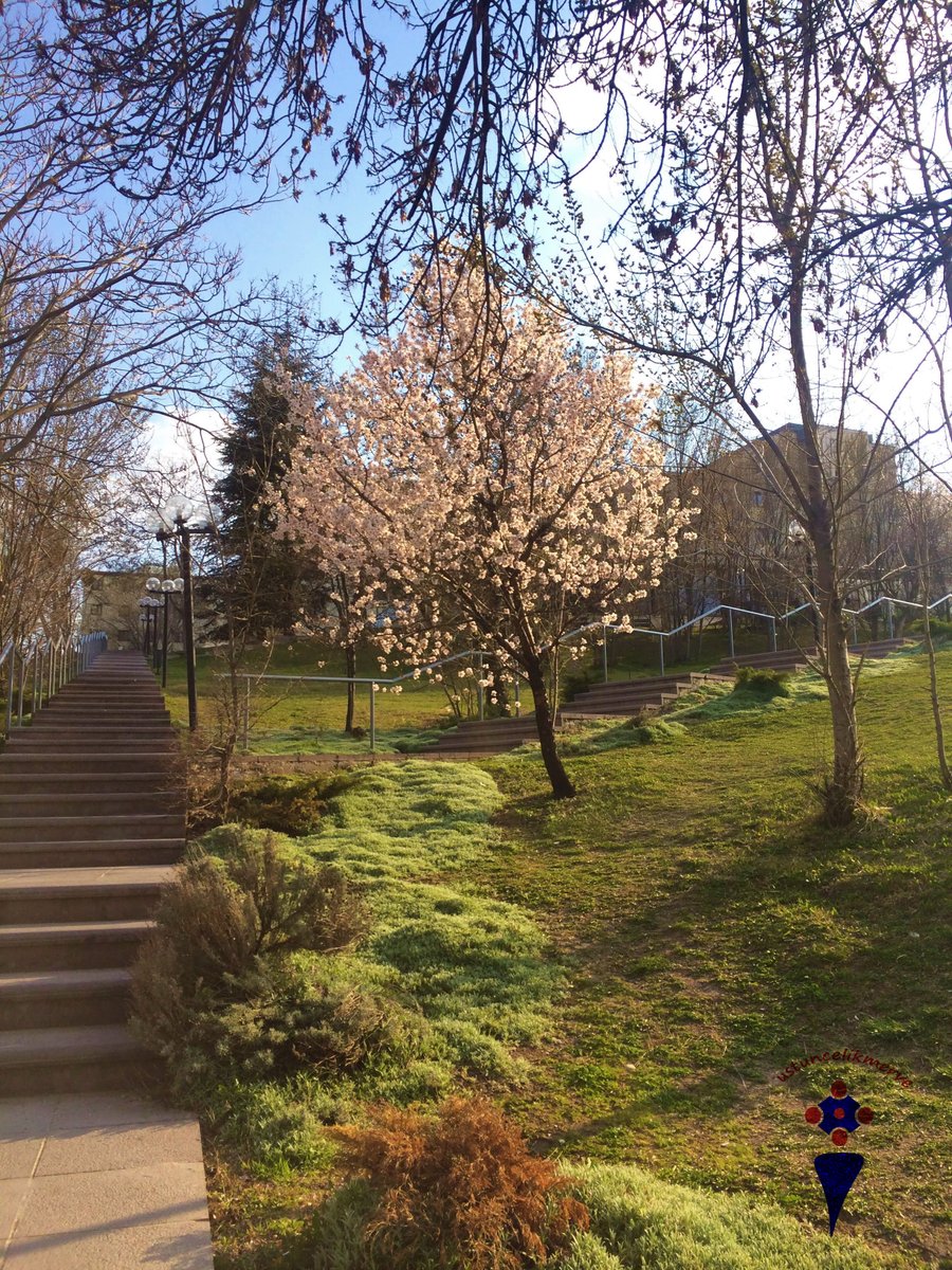 “It's your road and yours alone.
others may walk it with you,
but no one can walk it for you." <a href="/Rumi_Quote/">Rumi</a> <a href="/bilkentfotograf/">Bilkent Fotoğraf</a>  <a href="/motivational/">Motivational Quotes</a> #life #journey <a href="/BilkentUniv/">Bilkent Üniversitesi</a>