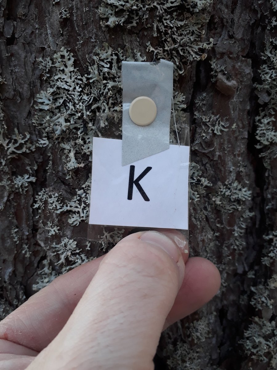 vivocalle's tweet photo. Förbereder mörkerspår inför kvällens scouting. #bliscout https://t.co/UXafIzoif8