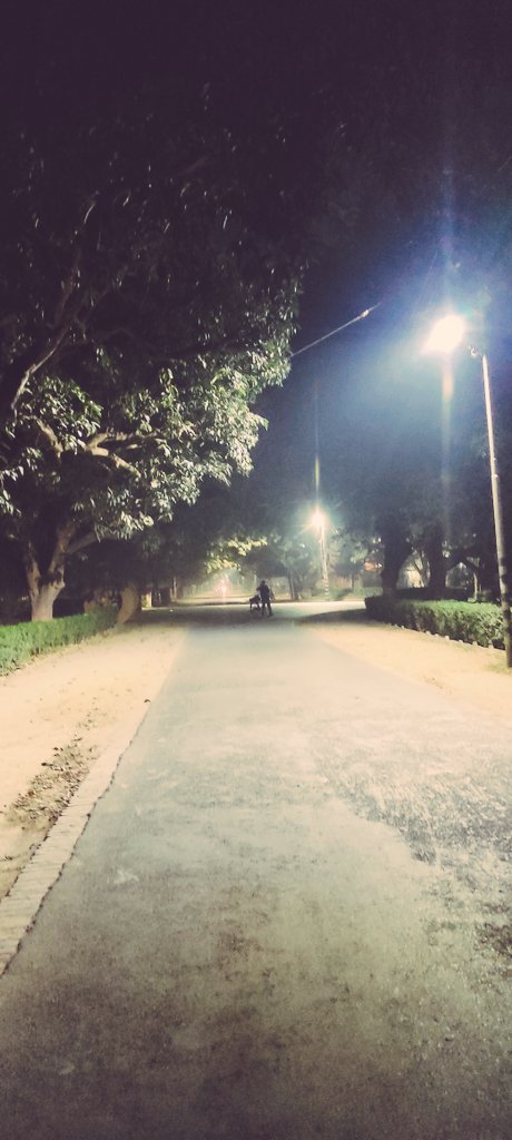 lawlawyer_lier's tweet photo. रात्रि भ्रमण
🌚🌒
#walkingwalking #Nightography #Campus https://t.co/ZM8OFV6RRs