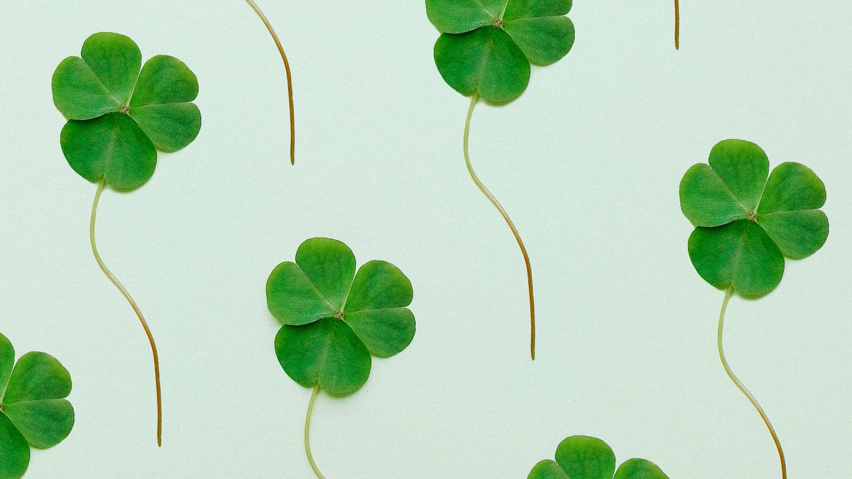 CPRSEdmonton's tweet photo. Our Irish You Were Here event is only 6 days away! 🍀
Still haven't gotten your ticket? Head to the link below to grab yours! ⬇️
https://t.co/H5sis2HcoB
#yegpr #yegcomms #MacPR #NAITPR #CPRSProud https://t.co/ZbJ6HT8z0Z