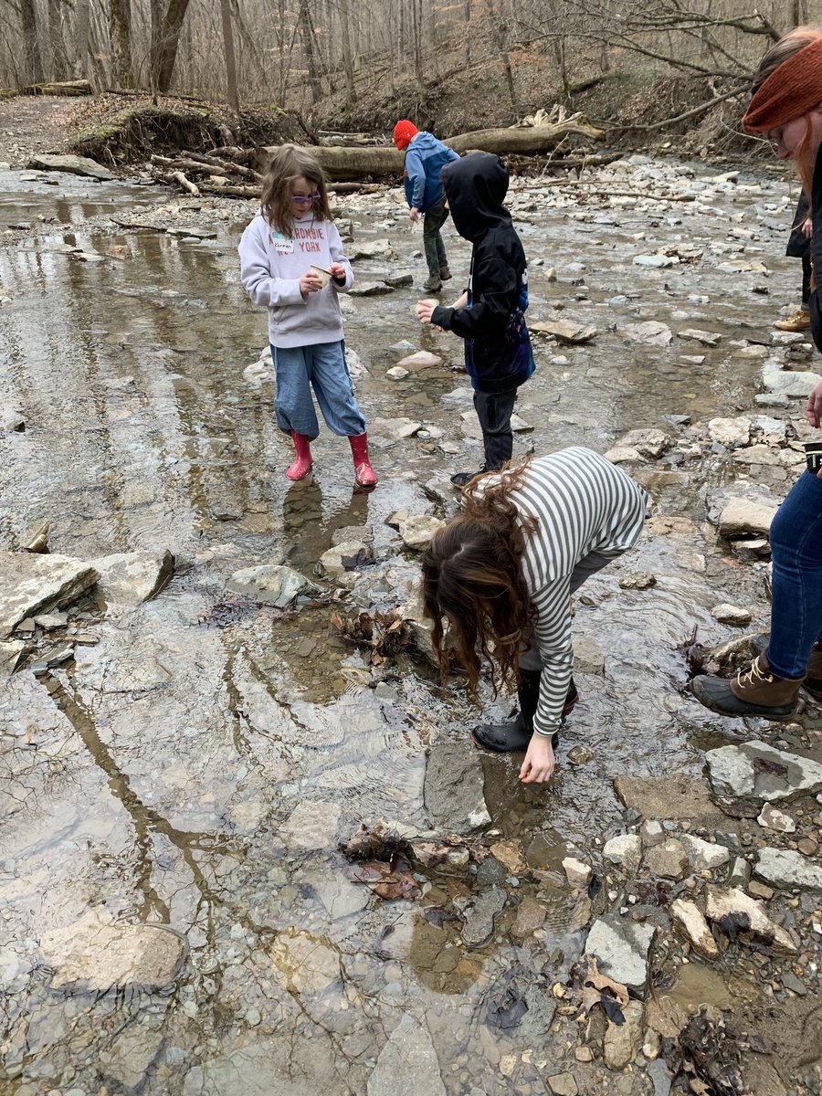 hertel_n's tweet photo. Ss traveled to @cincynature today to learn about what is under our feet! It was a great day to explore! @WestCler #merwinmustangs https://t.co/lwGDM3Kybw