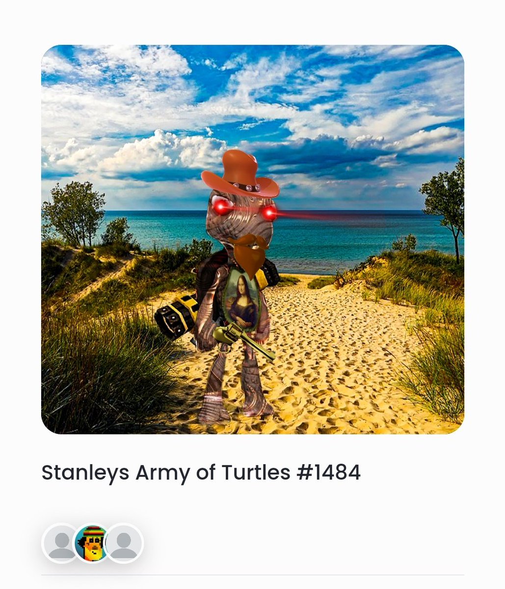 HadaNFT's tweet photo. Recently received the #SGBTurtles NFT airdrop.
Here are some favourites.
@Xwhales21 https://t.co/eGFxXGvErh