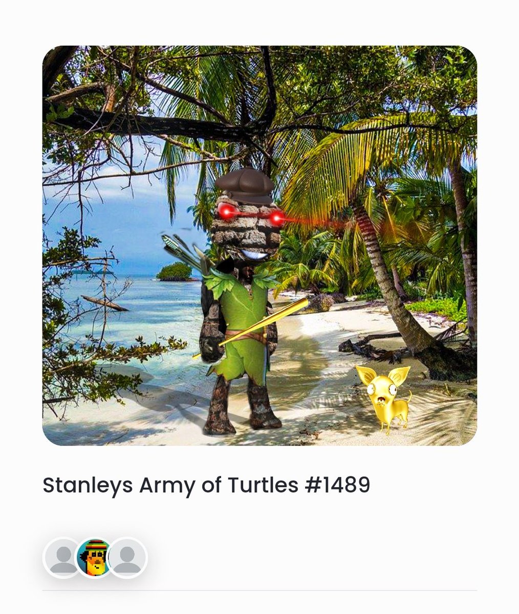 HadaNFT's tweet photo. Recently received the #SGBTurtles NFT airdrop.
Here are some favourites.
@Xwhales21 https://t.co/eGFxXGvErh