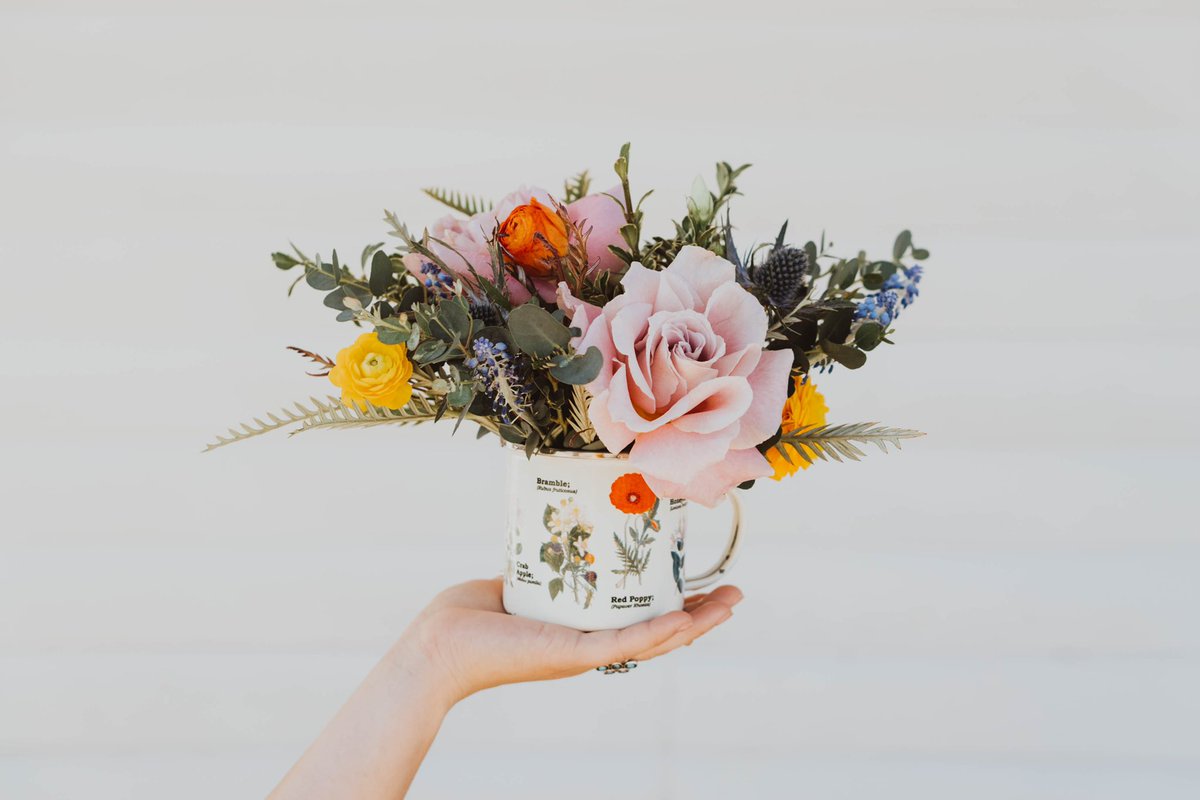 Taylor 🌿 tweet media