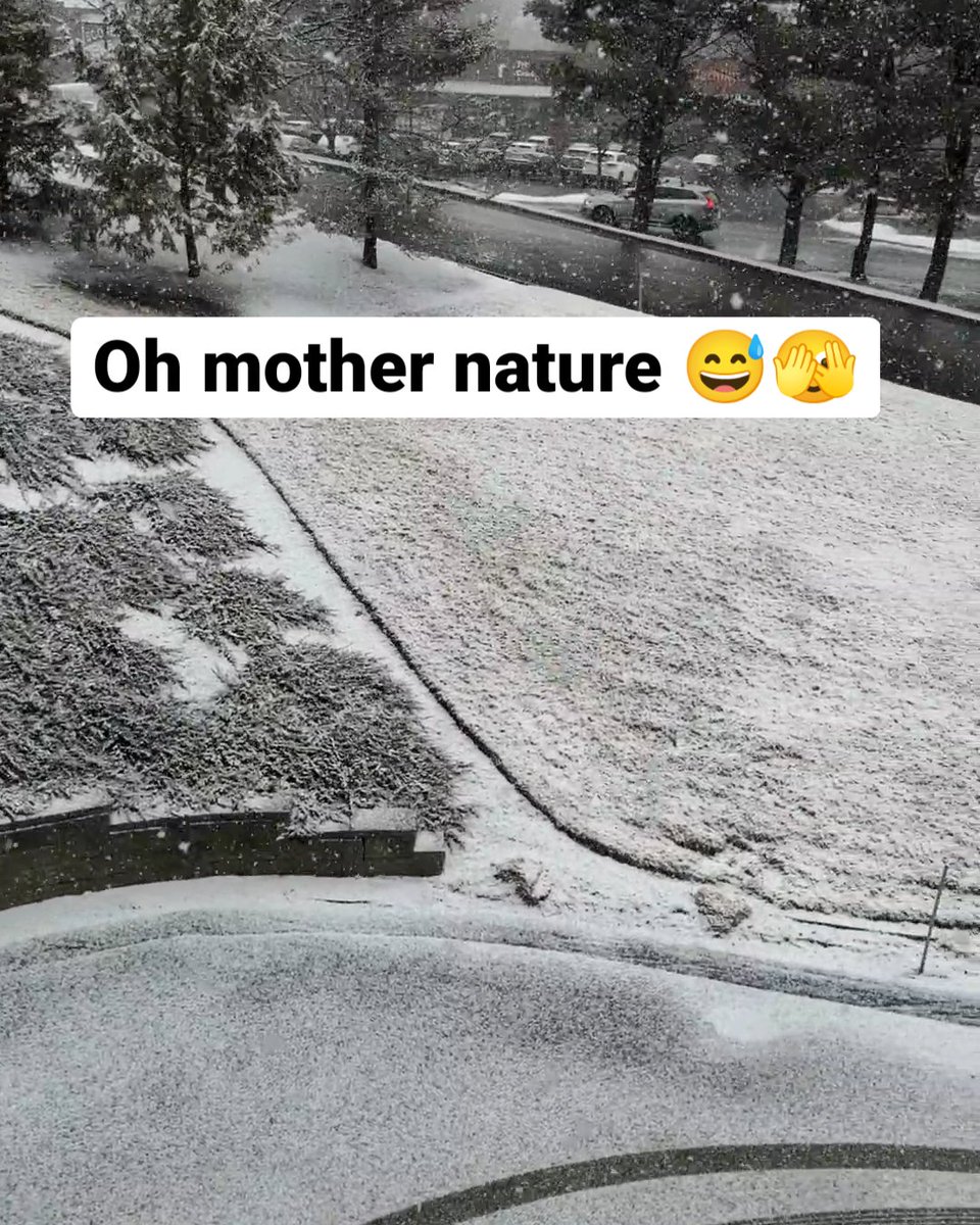 LoveringMere's tweet image. Picture says it all....we know what we're doing tomorrow morning! 😅❄️🚗 #snowcleanup #wintertime #lotcleanup