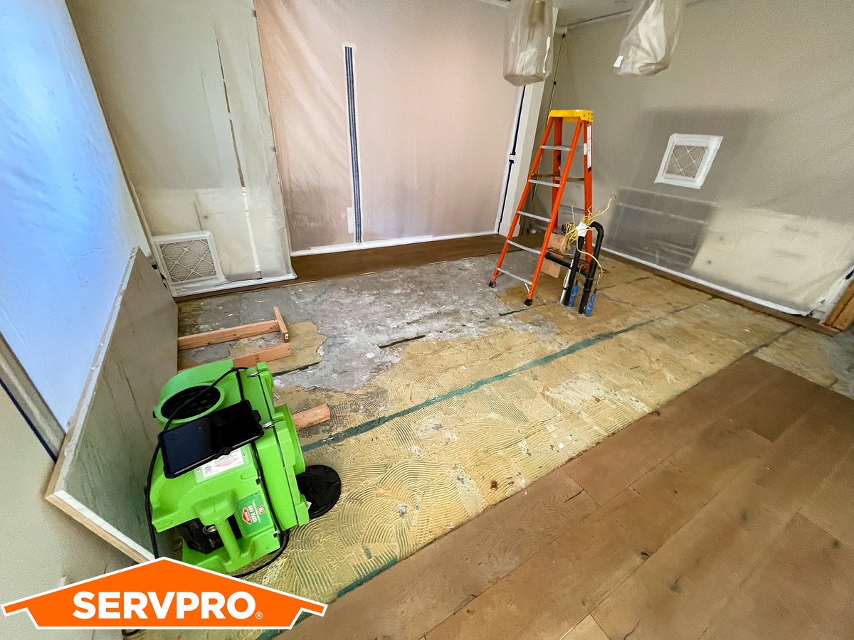 Understanding the early signs of mold or water damage will help to minimize the extent damage can occur. When pipes begin to leak and mildew forms, it will create a very unpleasant scent. #waterdamage #moldremoval #waterrestoration #SERVPROwestcoast #restoration #insurance