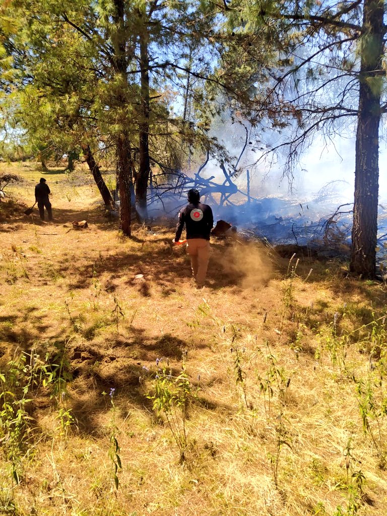 CEECA_Morelos's tweet photo. Esta tarde tenemos mucha actividad en cuanto al combate de incendios forestales en #Morelos. Les informamos que nuestros compañeros #Zacatuches que conforman las brigadas, Bravo del #CEECA, #Sierras y rurales de la #Conafor, trabajan en el control y liquidación del fuego... https://t.co/3zs8iK7kfD