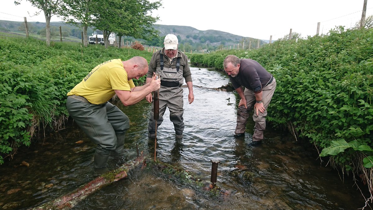 ProfJGrey's tweet photo. Stocking salmonids negates the beneficial effects of habitat improvements. On the @WildTroutTrust #WTTBlog, Lizzie Thomas @imperialcollege synthesises journal &amp; grey literature data incl our @YorkshireWater funded TROUT project
https://t.co/UMaWb6Jhj1

#MSc #ECR #SciComms https://t.co/eLK4m7M0Lg