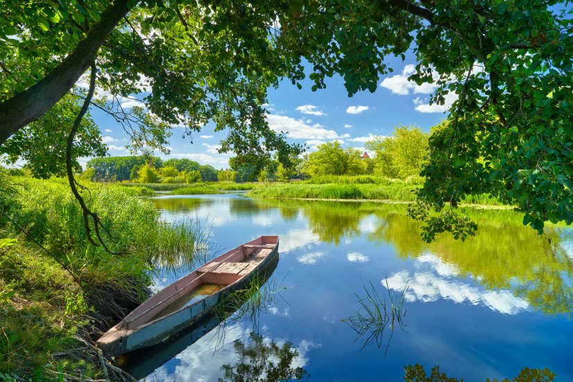 PirateBotanical's tweet photo. Spring is right around the corner! Take a moment to smell the flowers and relax with #piratechill! 

#piratebotanicals #piratall #pirateblast #spring #springhassprung #relax #chillout #suplement #supplements #nootropic #nootropics #flowers #peaceful #canoe #greenleaves https://t.co/0GAaZGDV60