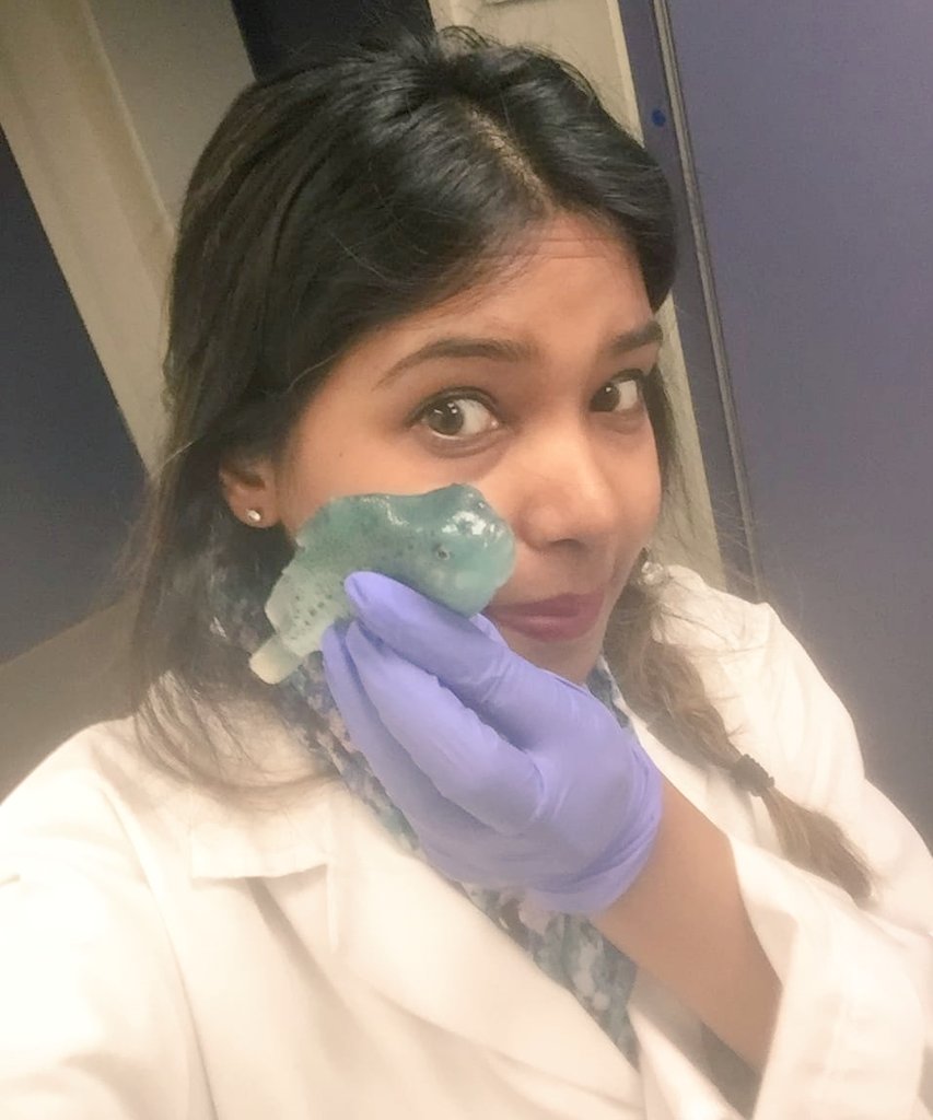 The Science Show at Nord tweet media