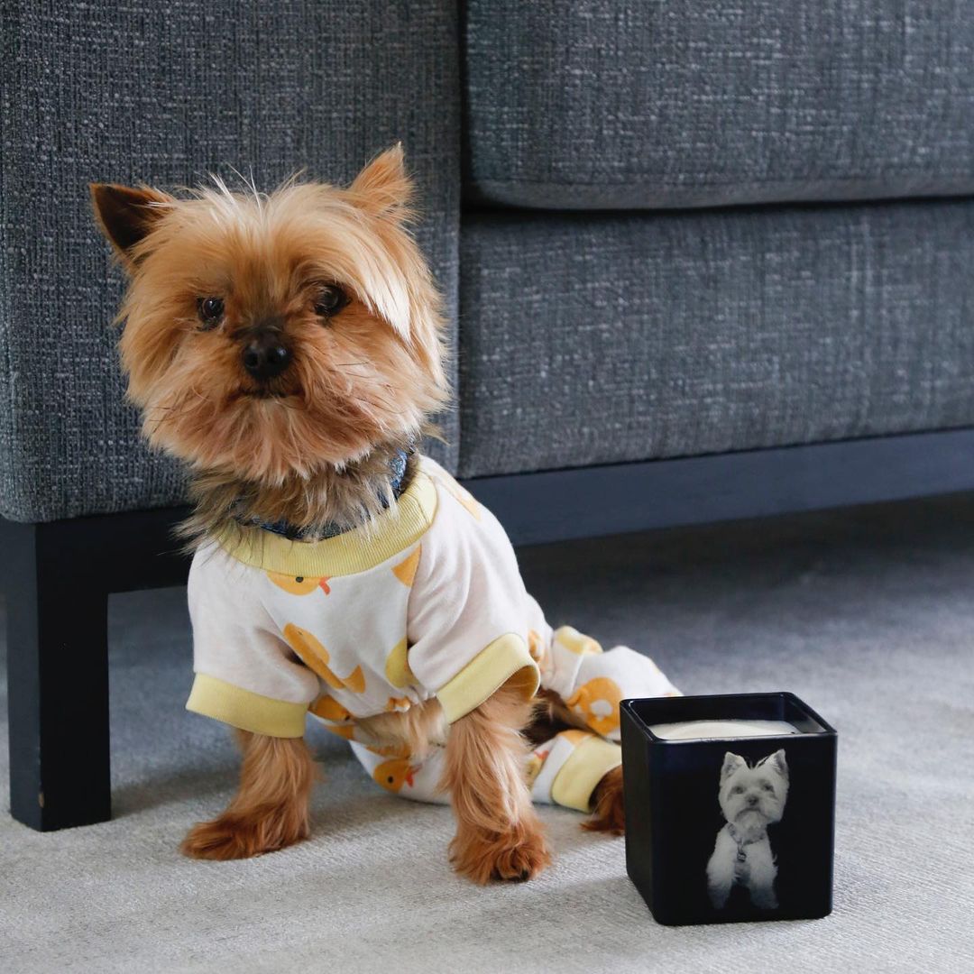 WynwoodMiami's tweet photo. .@TajaCollection is more than just a candle shop. Their handmade candles are fully customizable and crafted in Miami with 100% premium soy wax and essential oils or non-toxic fragrances. https://t.co/ntKEgKUhq1
