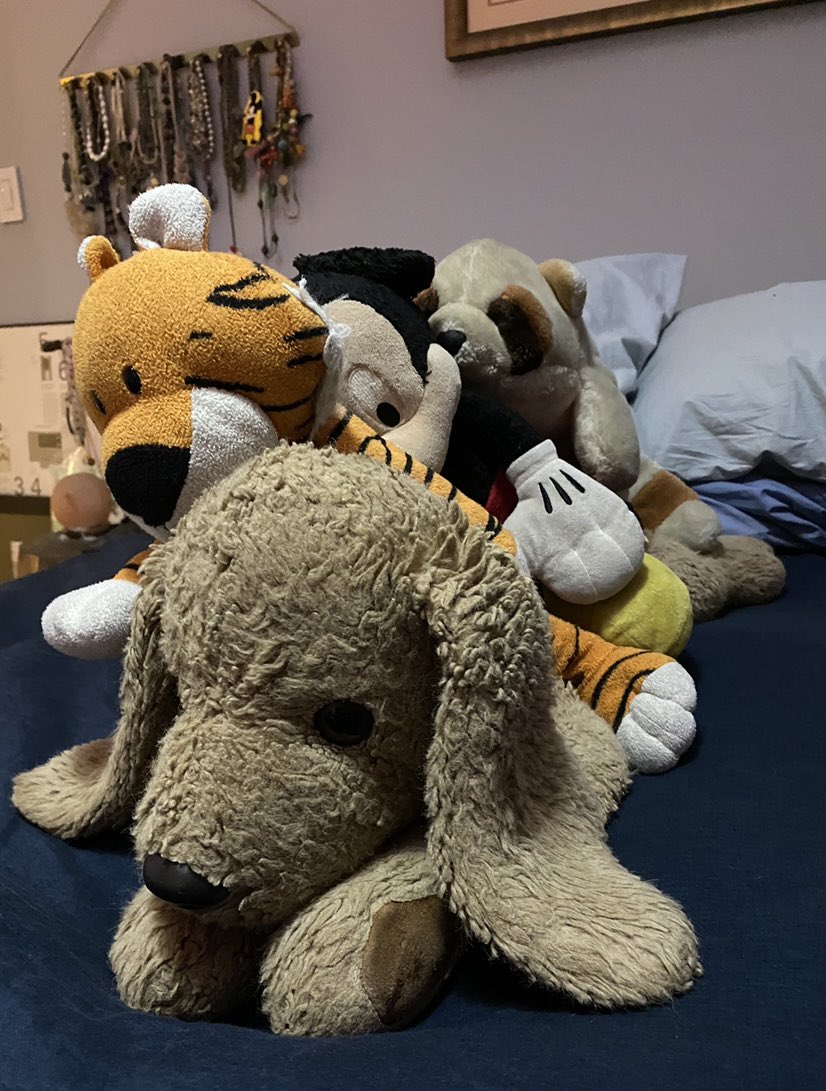 Lauren Passell Says No tweet media