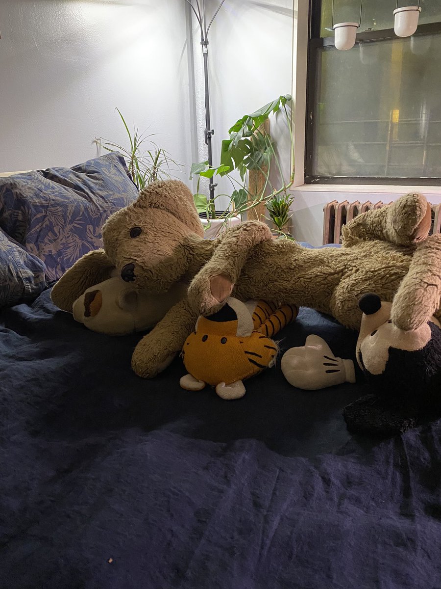 Lauren Passell Says No tweet media