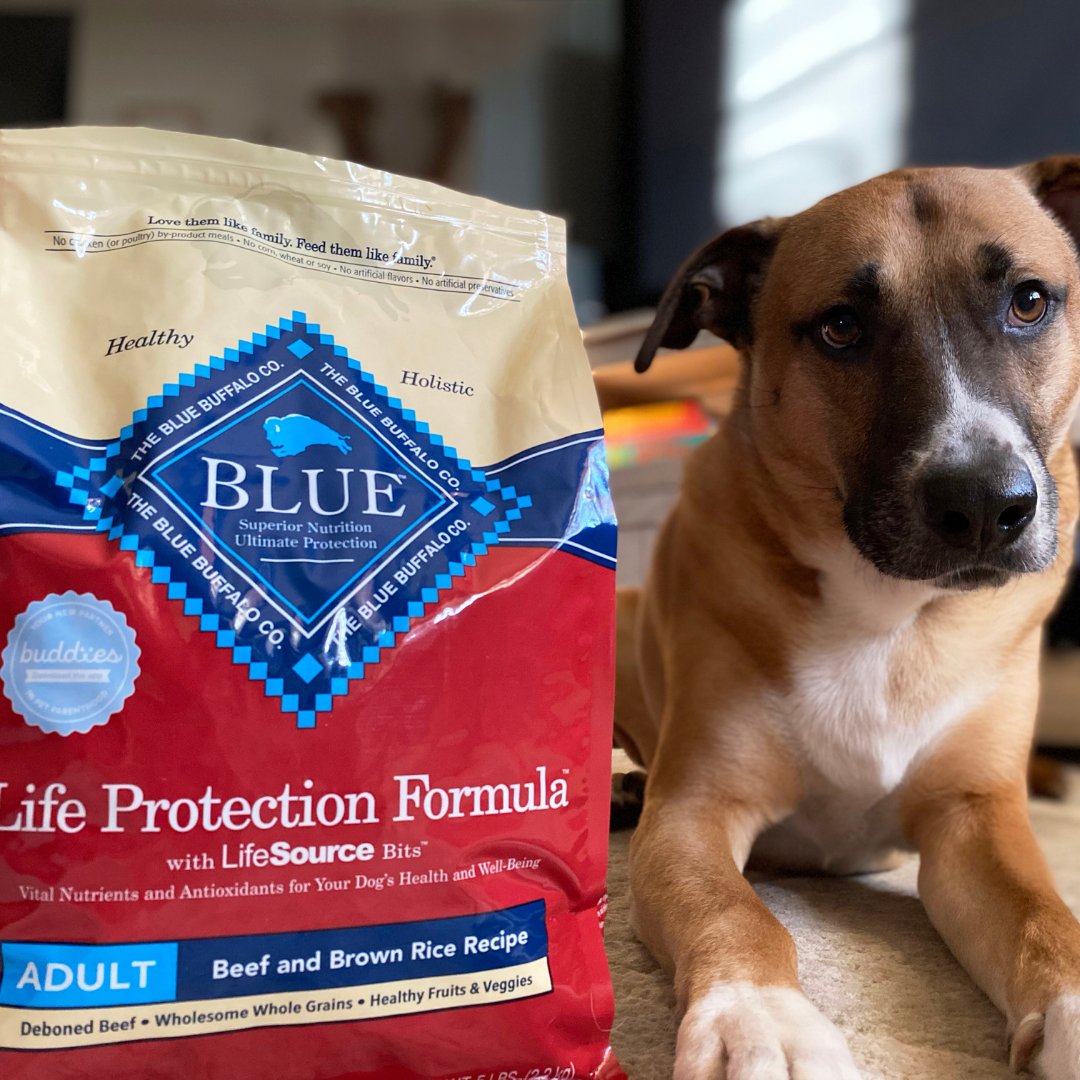 RippleStreetFun's tweet photo. Who can resist these adorable photos of your precious pups?! The reviews are rolling in and we’re thrilled to see so much paws-itivity! #BlueLPFBeef https://t.co/R7HNfj5vX4