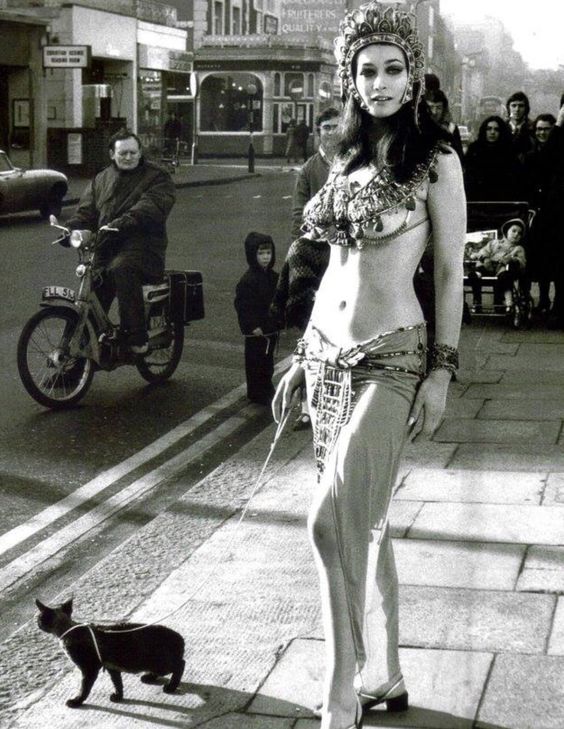 The small crowd had never seen a 3000-year-old evil Egyptian queen walk a cat before