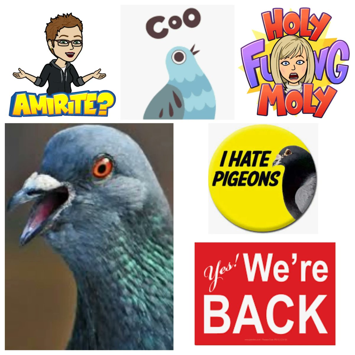 The weather gets nicer and the sky rats start visiting! In the new episode Seems Un-Mannerly the ever dreaded pigeons are back to cooing every morning and driving Lisa nuts…we are done already with them! Listen at pod.link/Ismh or any podcast app! #podcast #fun #laugh