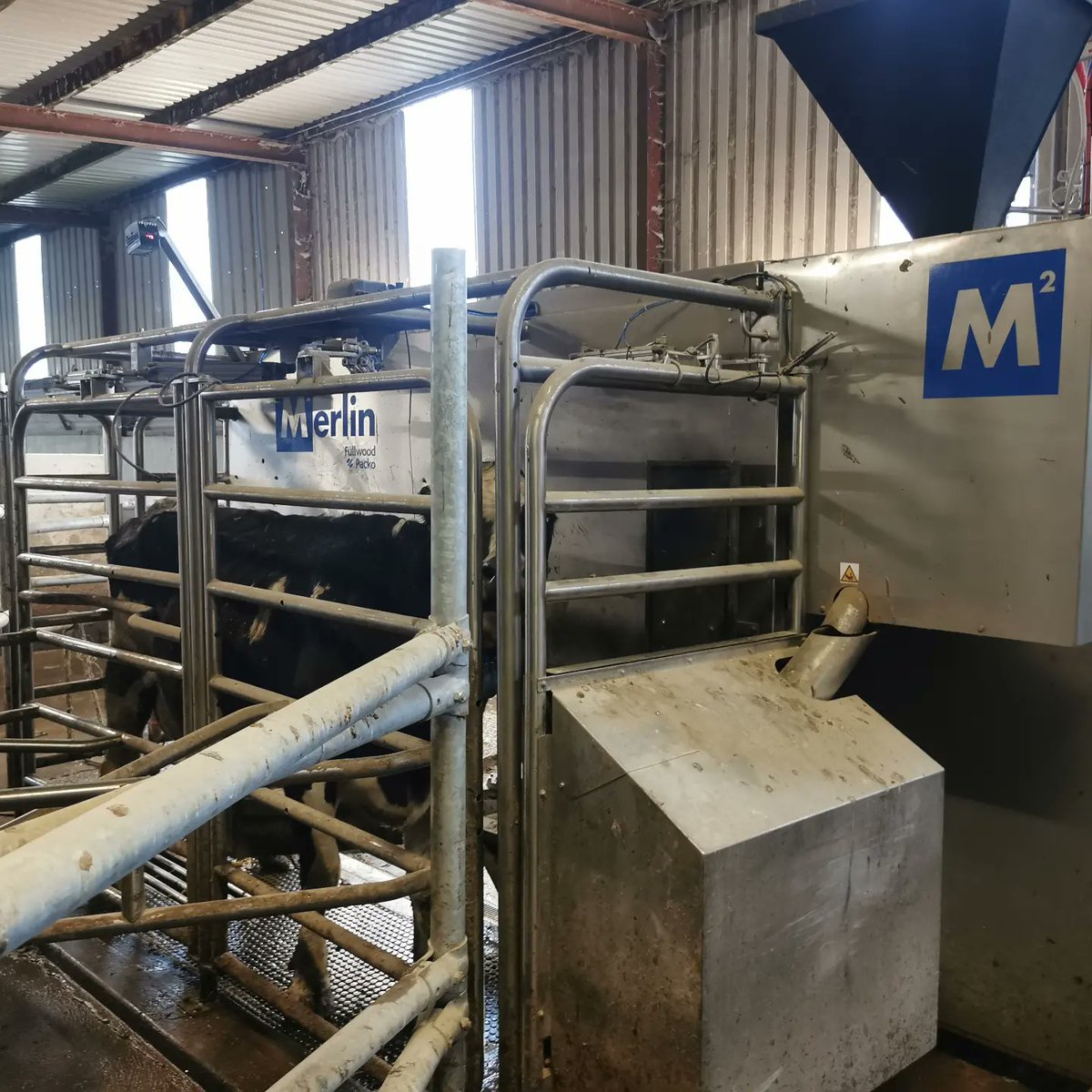 michaeldowney6's tweet photo. Getting set for turnout once weather improve on this @FullwoodPackoIE NEW entrant, simple, neat conversion. Love the grazegate layout and how it fitted into the existing yard. The farm #abcgrazing,fully reseeded, with quality stock purchased. #grasstomilk #roboticmilkingIreland https://t.co/q2cZdhkooc