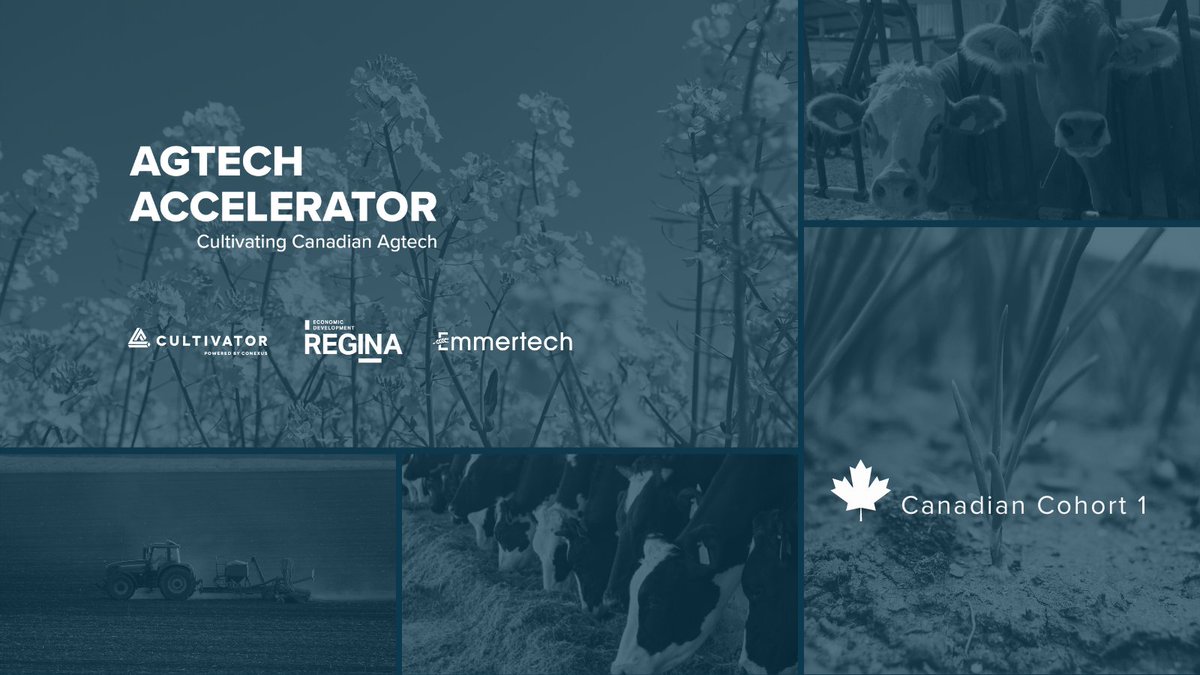 ‘From far and wide…” 🇨🇦 🌾 Get to know the Canadian startups chosen for our 1st cohort of the Agtech Accelerator. LEARN MORE HERE 👉🏽 cultivator.ca/from-far-and-w… 
<a href="/soileos/">Soileos</a> @ukkoag <a href="/IntelliCulture/">IntelliCulture</a> <a href="/TechBrewCo/">TechBrew Robotics</a> <a href="/LWR_Inc/">LWR 💩💧</a> <a href="/parametrics_ag/">Parametrics.Ag</a> <a href="/FarmHealthGuard/">Farm Health Guardian</a> <a href="/FarmSimple_/">FarmSimple Solutions Ltd.</a> <a href="/AGvisorPRO/">AGvisorPRO™ = Answers Now</a>