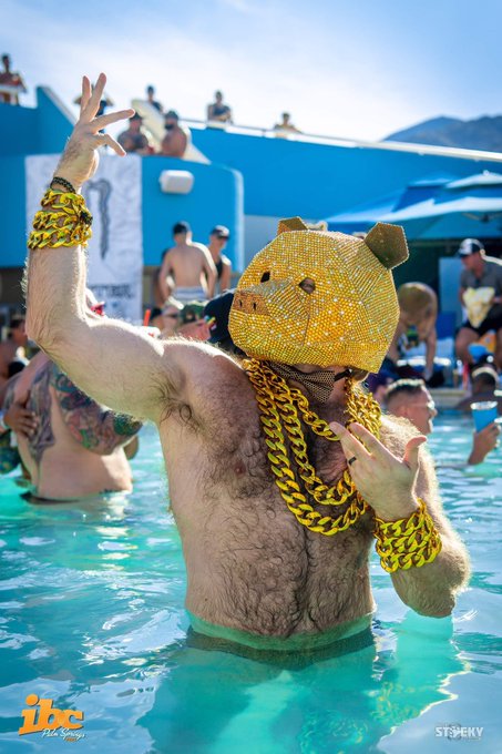 New picture of my golden bear outfit @ibcpalmsprings  
Stocky Photos https://t.co/IokUv9jyVf