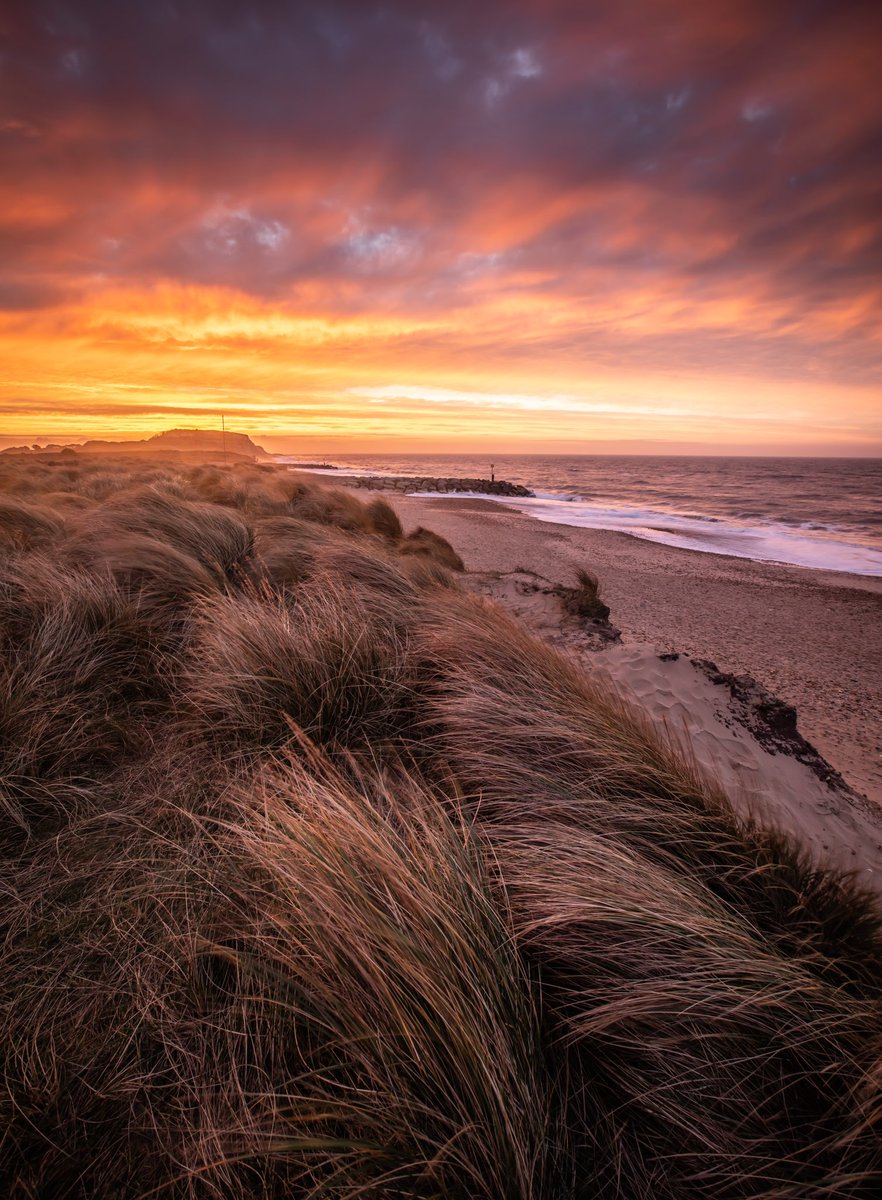Matt_Pinner's tweet image. Let me know your favourite shot

1,  Durdle Door 
2, B&amp;amp;W Highcliffe Beach 
3, Highcliffe sunset 
4, Hengistbury head Sunrise 

Some of my latest work taken with @CanonUKandIE 5DIV 📸 &amp;amp; @LEEFilters  

#Dorset 

#Canon #ThinkLee
