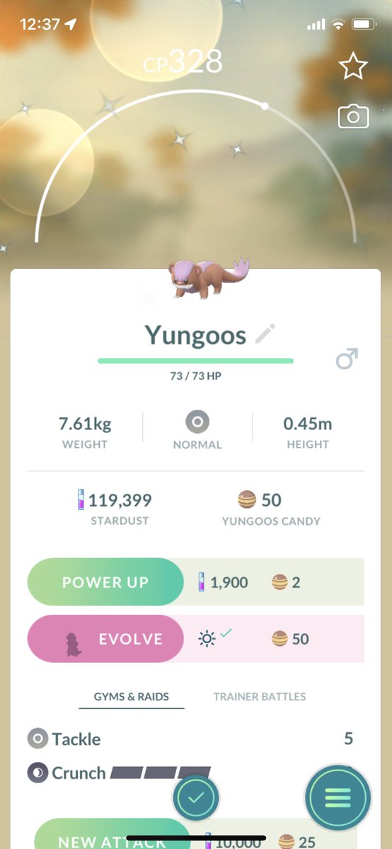 Deez_sstun's tweet photo. Shiny yungoos! Now I have enough candies to evolve! #shiny #Pokemon #PokemonGO #ShinyCheck #Yungoos https://t.co/vnhVt8urW3
