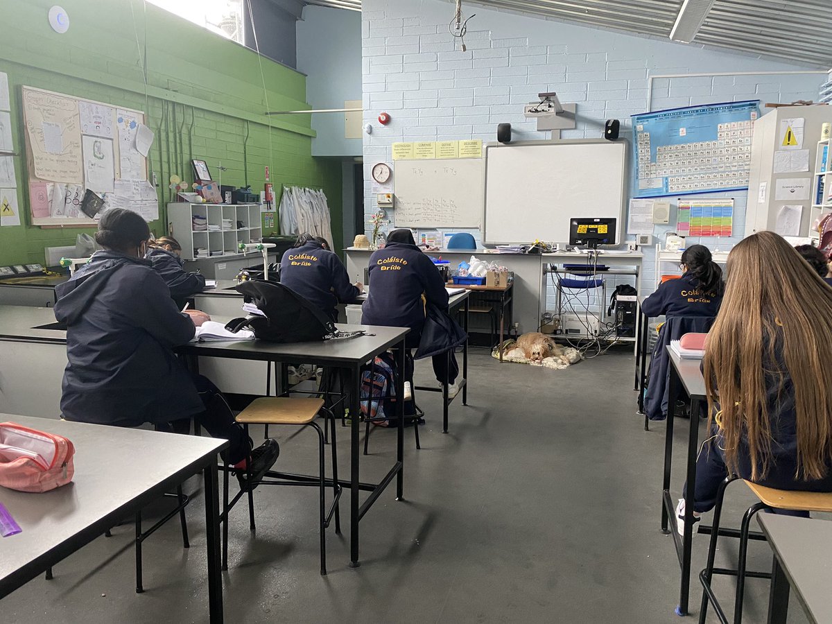 The science lab had a new teacher today for #wellbeingweek in <a href="/Colaistebride/">Coláiste Bríde D22</a> Bow Bowe proved very popular but we not sure about her explanation of relative molecular mass in 5th chemistry!