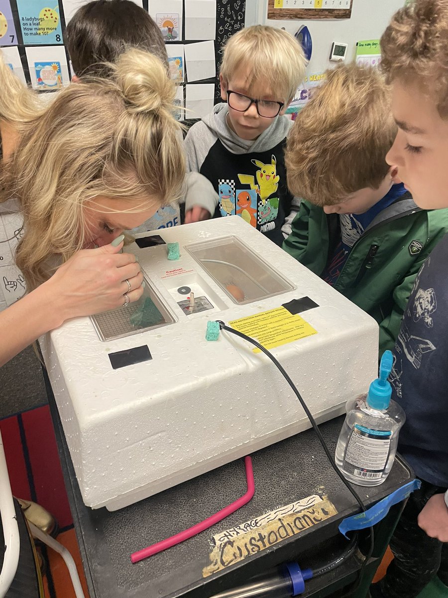 This morning we got to visit our Zoo in A2 and <a href="/WarnementJAE/">Ashley Warnement JAE STEM</a> to check out our newest baby chicks!! It’s moments like this that make me grateful for the opportunity to teach at <a href="/JAE_stem/">JackAndersonElemSTEM</a>  #sumnerachieves @co_sumner