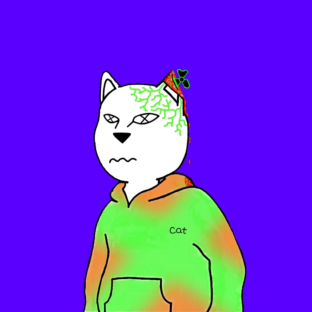 Cats on style🐈🇺🇦 tweet media