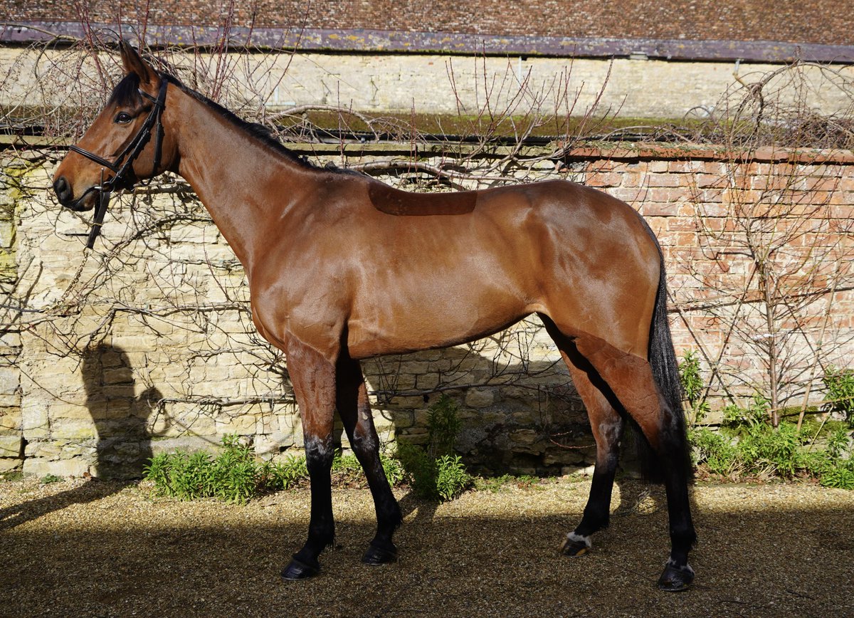 THOROUGHVISION tweet media