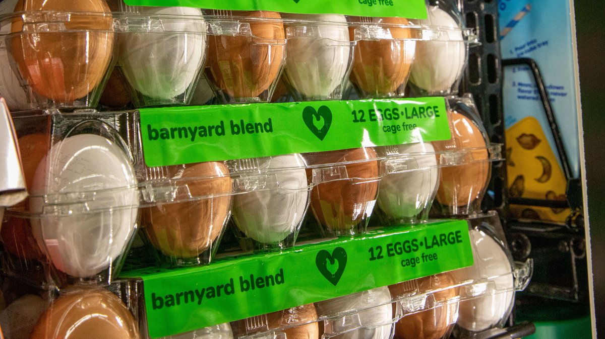 This month only, shop the new Love Your Eggs Barnyard Blend by Herbrucks Poultry Ranch at the market for just $2.89 per dozen 🥚🛒✨ These eggs are cage-free,  a mix-and-match of brown and white, and are laid and packed in Saranac, MI. #RivertownMarket