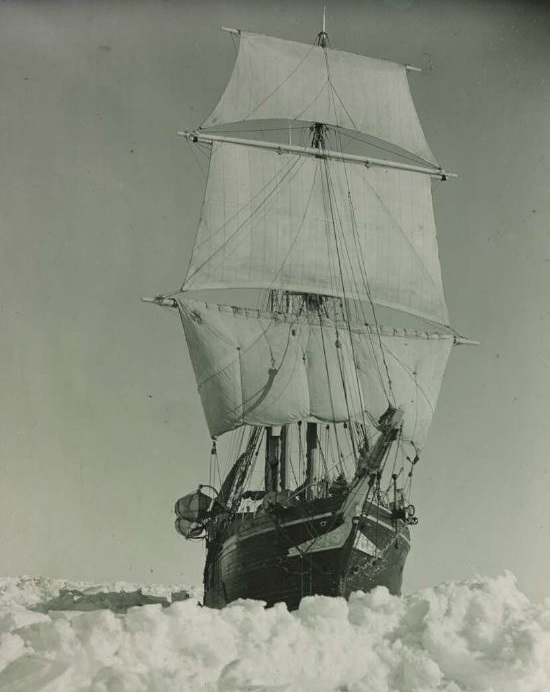 'Endurance' in the pride of her youth
@nlagovau 

#Shackleton100 #Endurance