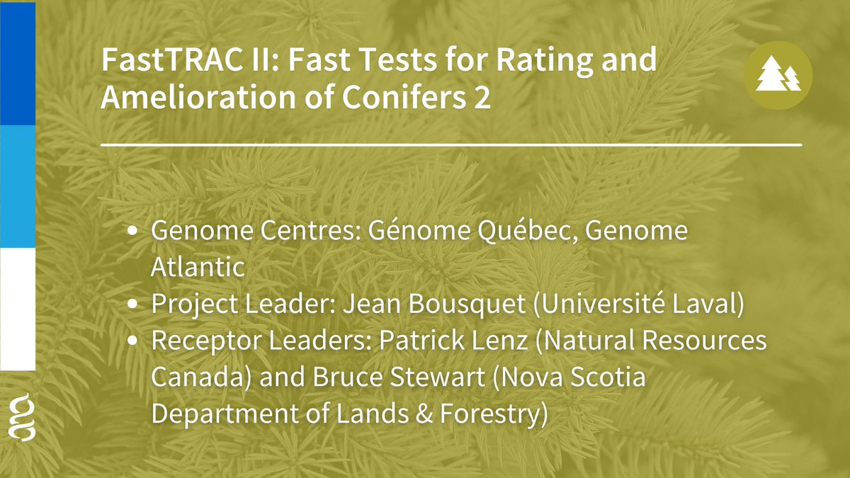 GenomeCanada's tweet photo. JUST ANNOUNCED - New genomics investments will help make our coniferous forests more resilient to climate change.
📲 https://t.co/mKk8AnOXrj
@GenomeQuebec @GenomeAtlantic @universitelaval @NRCan @nsgov #Forestry #CdnSci https://t.co/GpiET2iipE