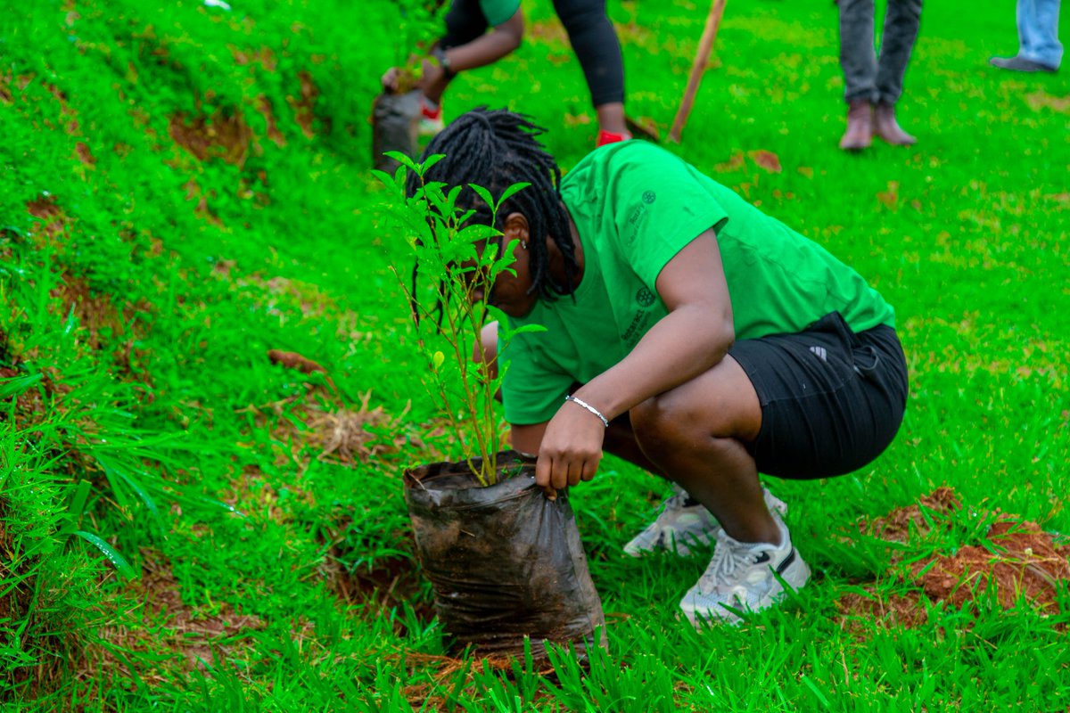 RctKajjansi's tweet photo. You want food, plant a tree
You want firewood, plant a tree
You want shade, plant a tree
You want money,plant a tree
You want shelter plant a tree
The list is endless
We planted trees munaye๐๐๐
@RotaractD9214
#WorldRotaractWeek
#itsmyplant
#savemyplanet
#theinvestors https://t.co/wu52OotyNU