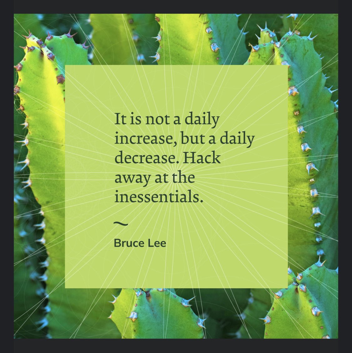 CaseyHannan's tweet photo. The βless is moreβ philosophy can help simply our existence and counter act the βtoo much is never enoughβ culture.
I really needed to hear this today. π
#HackAway https://t.co/CwLknQl9mE