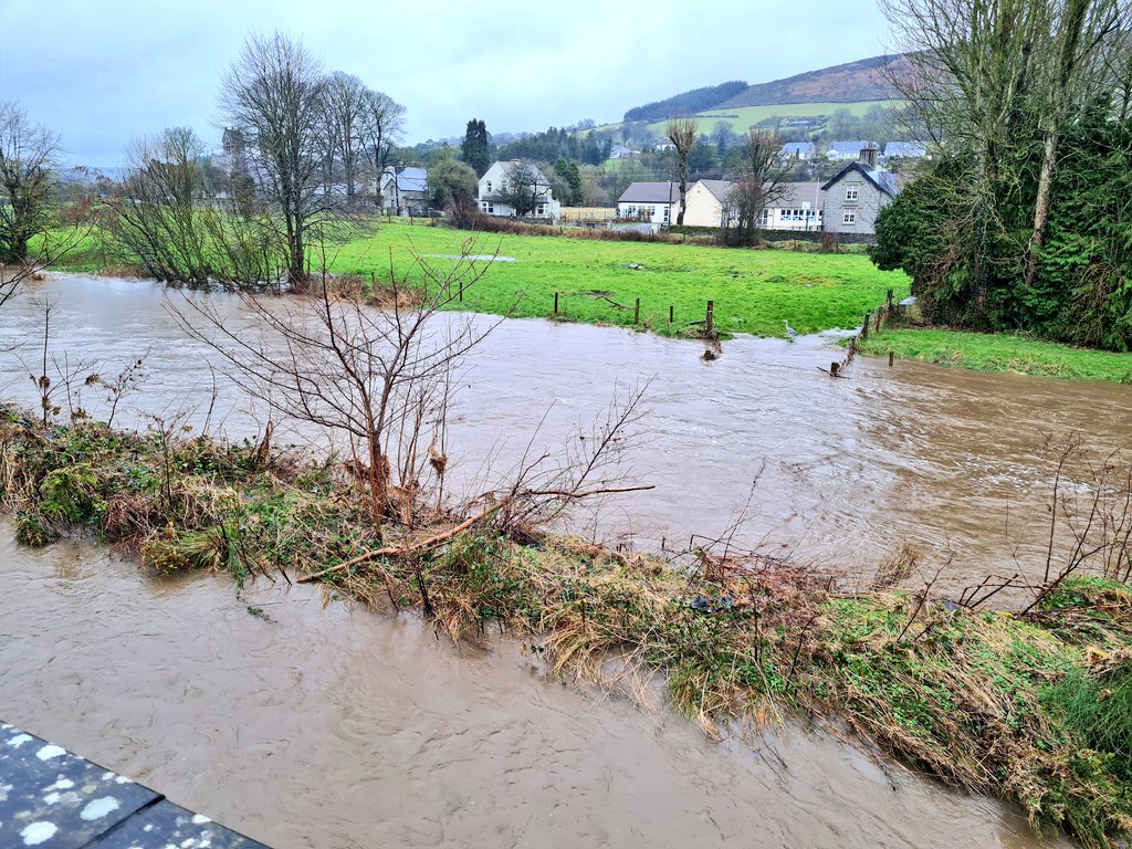 conorleeson's tweet image. Heronymous Bosch is not impressed with this rain. 😱 #Balto #Slaney