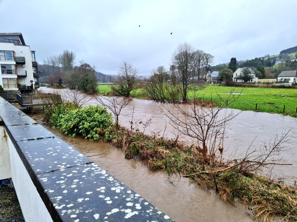 conorleeson's tweet image. Heronymous Bosch is not impressed with this rain. 😱 #Balto #Slaney