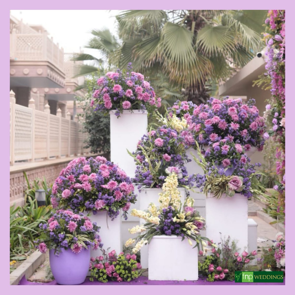 FNP_Weddings's tweet photo. A floral extravaganza and all we've got to say is we PURPLE this setup 💜
#purple #floral #mehendi #mehendidecor #fnpweddingsandevents #fnpweddings #decorators #decor #ipurpleyou💜 #instacolor #instacolors #togetherforever #colors #flowerstagram #weddings2022 #weddingseason22 https://t.co/dqBAe66tZ7