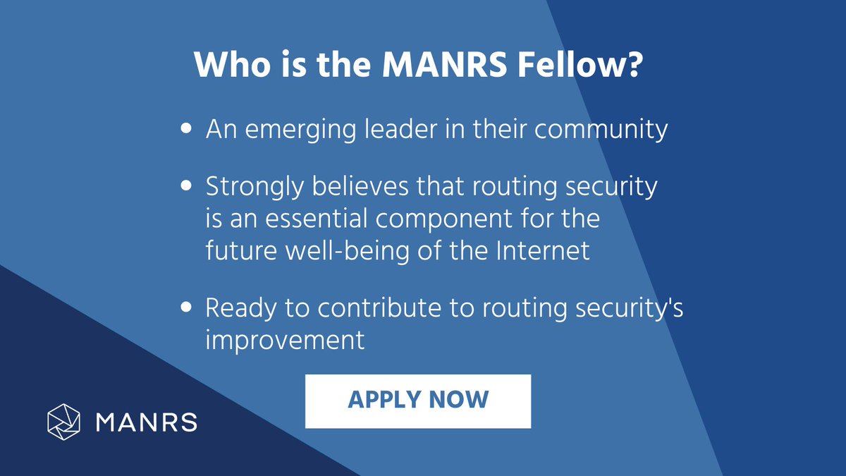 Who is the MANRS Fellow? An emerging leader in their community, strongly believes that routing security is an essential component for the future well-being of the Internet, ready to contribute to routing security's improvement.