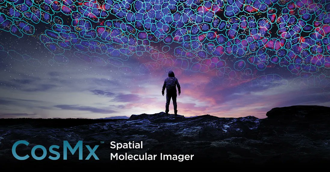 Cancer_LR's tweet photo. CosMx Spatial Molecular Imager delivers what you've come to expect from @NanoStringTech. Accurately detect and quantify RNA and protein in situ on FFPE tissue. https://t.co/WNh4QEZuTW 
#SpatialTranscriptomics #SingleCell #FFPE #SingleCellImaging https://t.co/VBBedUjjrb