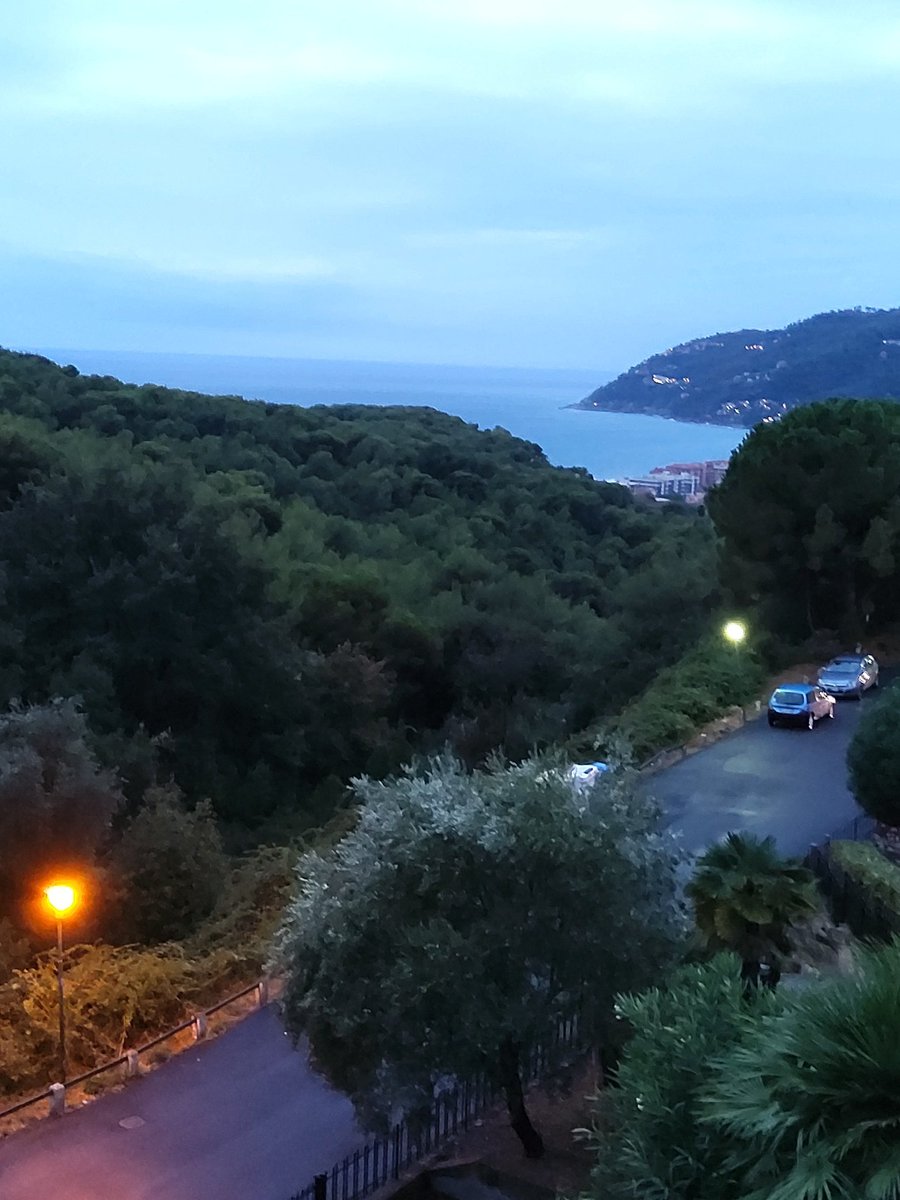 luca pizzocolo tweet media
