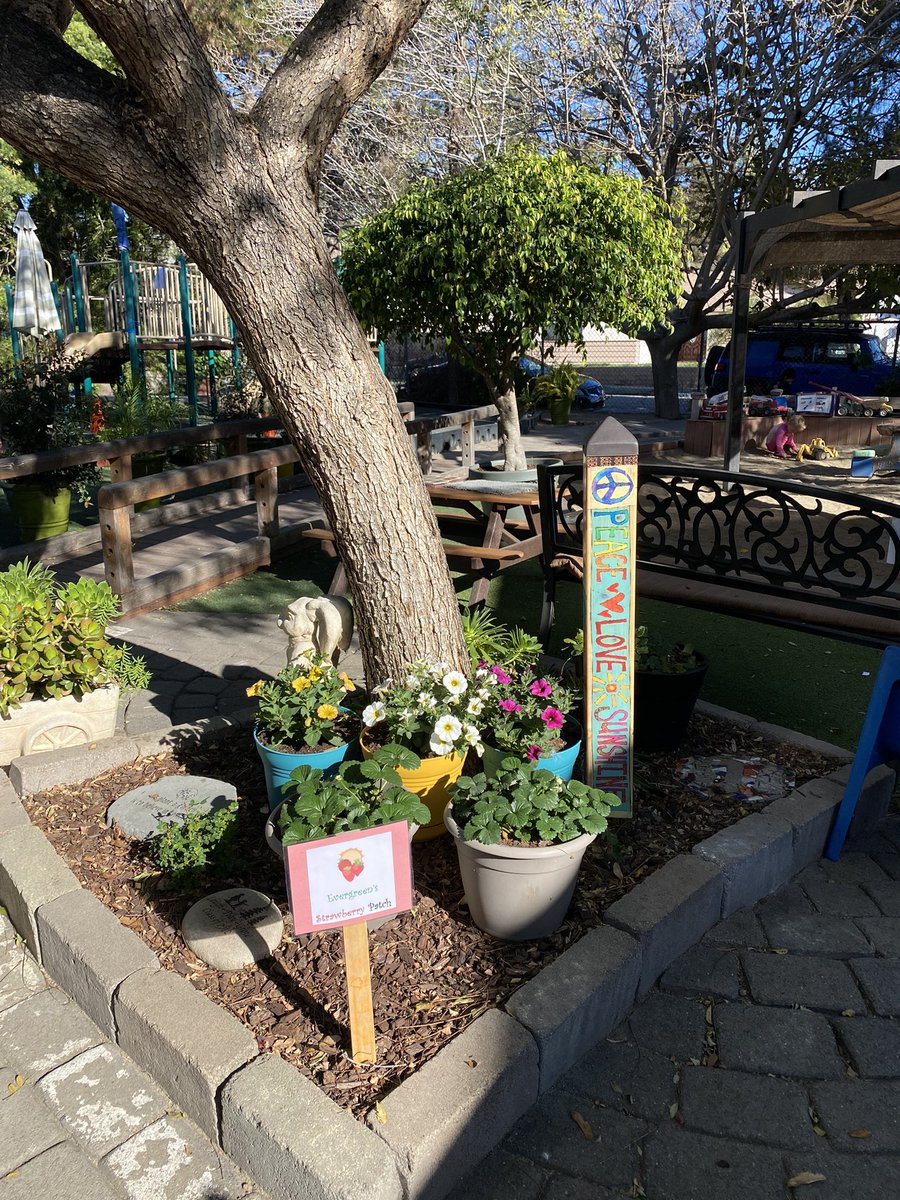 themrs805's tweet photo. It’s my long day at work!! So grateful it is a beautiful day!! #outsideschool 💙💛🌻☮️💜💜💜 https://t.co/db92sMxsYK