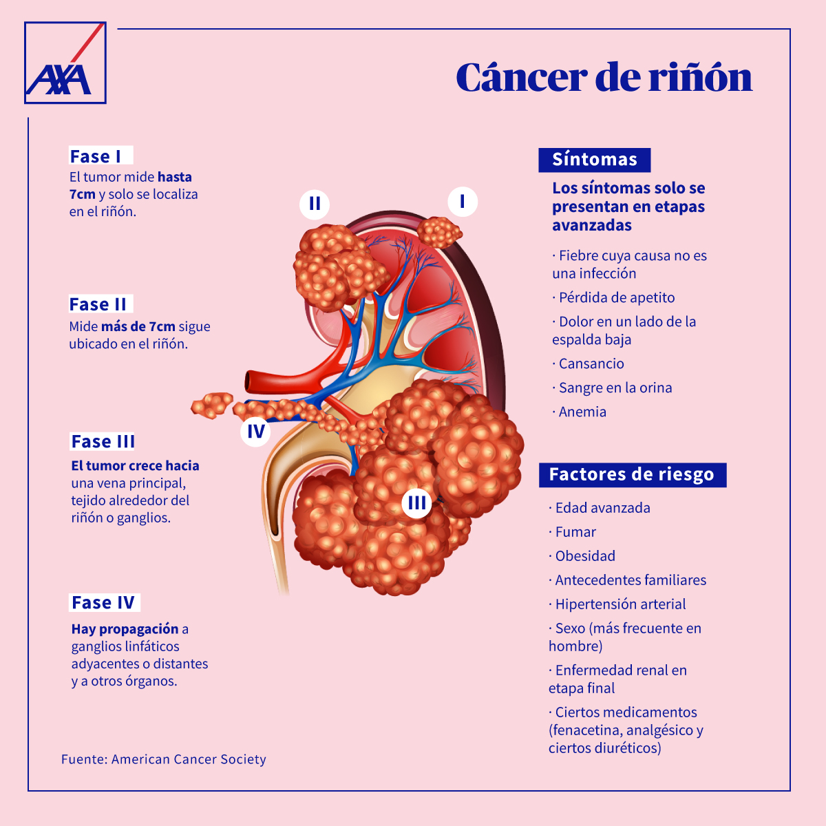 AXASegurosEs's tweet photo. Cuando hablamos de cáncer, hay una palabra que siempre repetimos hasta la saciedad: PREVENCIÓN, PREVENCIÓN y PREVENCIÓN. El diagnóstico precoz en cáncer renal aumenta un 95% la supervivencia de estos pacientes. #DíaMundialDelRiñón. Atento a los datos 👇 https://t.co/VS8z32yiYr