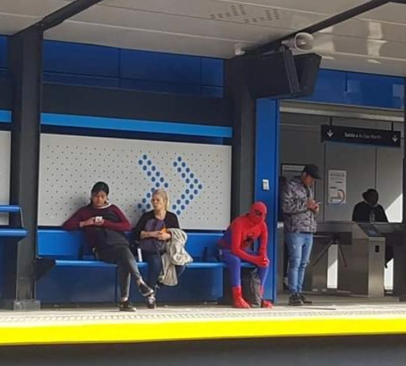 walkingconurban's tweet photo. Spiderman, no way home. https://t.co/jHBJegweDK