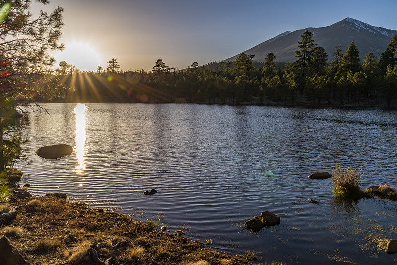 usfs_rmrs's tweet photo. As droughts become more frequent, many communities face challenges in achieving sustainable water use. New research published in @EarthsFutureEiC examines trends in freshwater consumption and predicts future water supply and demand over the next 50 years. https://t.co/O32nHOQGVK https://t.co/SzgR8njP6S