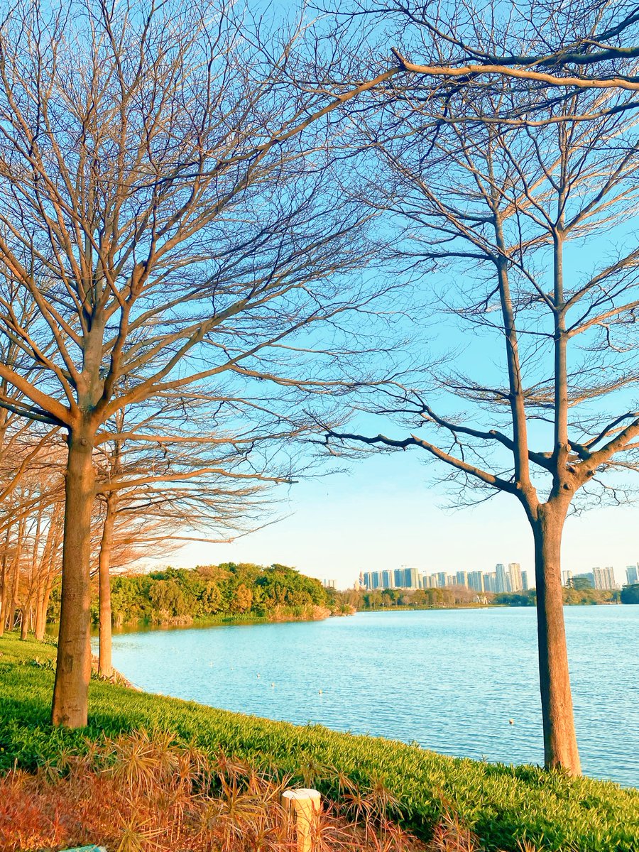 FSzhaojie's tweet photo. 美景，从来不缺，缺的是发现者！ https://t.co/ZtY6cR6Mnl